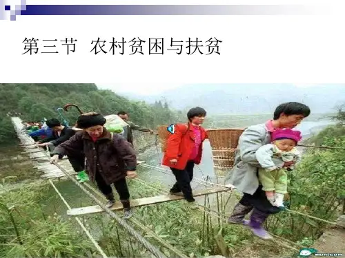 第九章  1农村贫困与农村扶贫