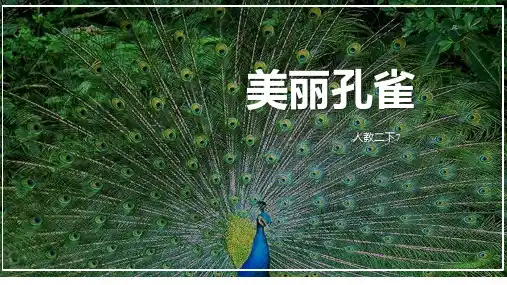 二年级美术下册《美丽孔雀》PPT课件,共11页