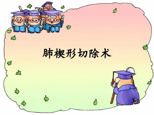 肺楔形切除ppt课件