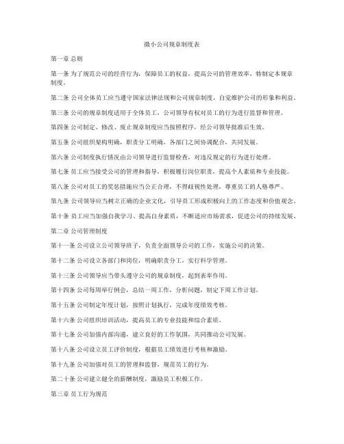 微小公司规章制度表