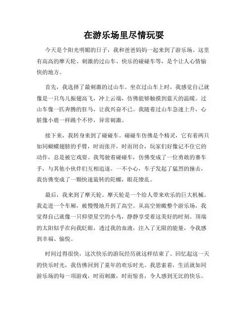 三年级作文那次玩得真高兴之在游乐场里尽情玩耍