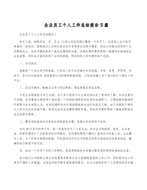 企业员工个人工作总结报告5篇