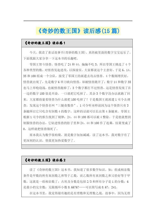 《奇妙的数王国》读后感(15篇)