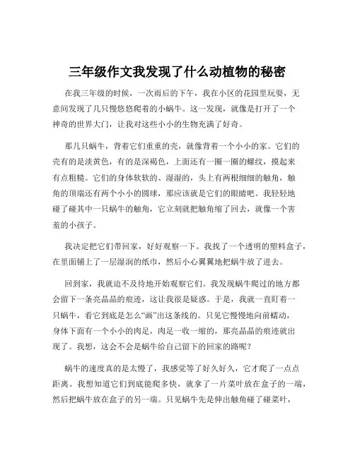 三年级作文我发现了什么动植物的秘密