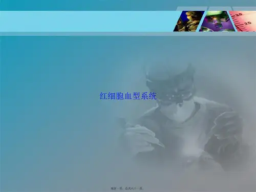 红细胞血型系统讲课文档