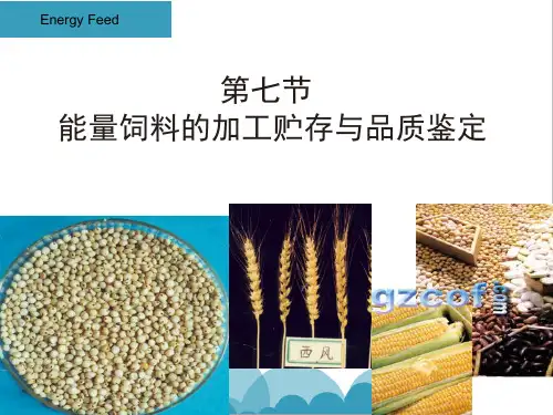 能量饲料