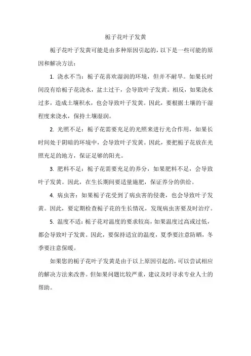 栀子花叶子发黄