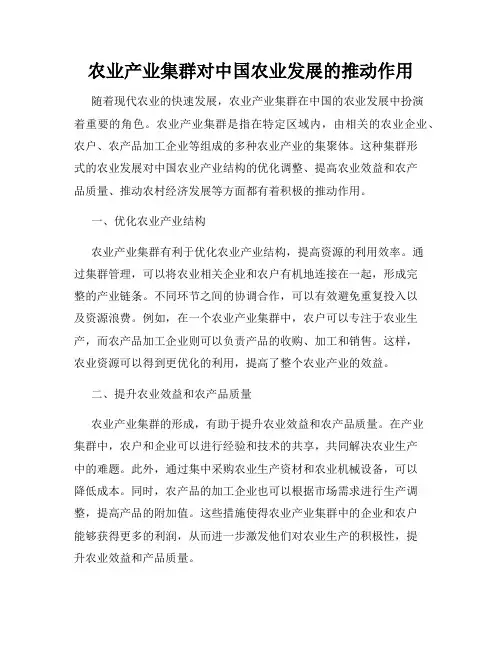农业产业集群对中国农业发展的推动作用
