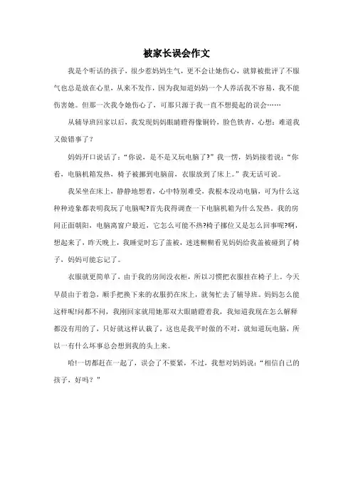 被家长误会作文