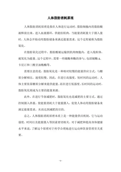 人体脂肪消耗原理