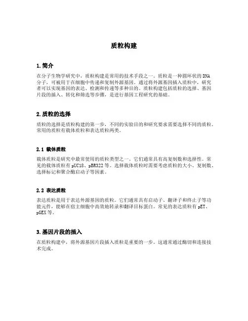 质粒构建 关键技术
