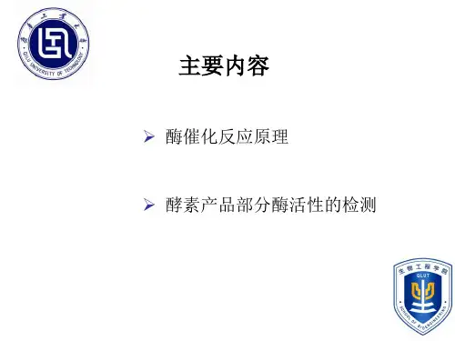 酶活性的检测方法