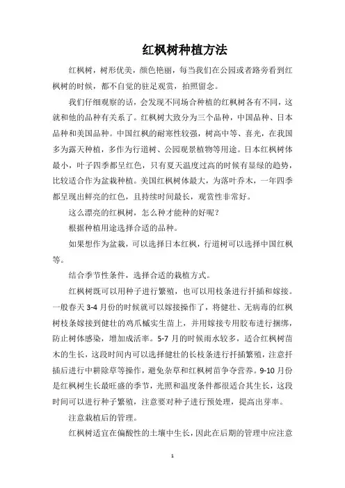 红枫树种植方法