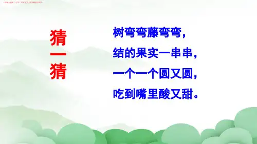 (部编人教版)小学二年级语文上册《11 葡萄沟》讲解教学课件