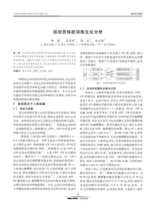 运动员体能训练生化分析