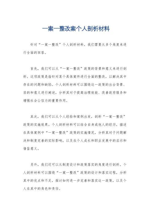 一案一整改案个人剖析材料