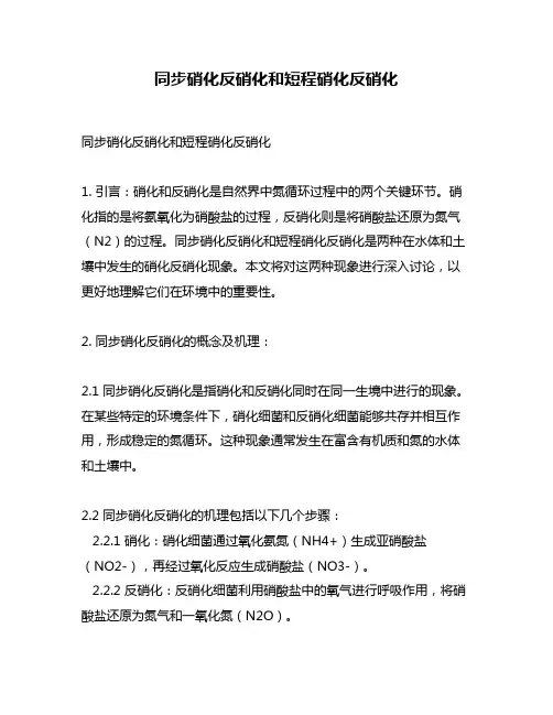 同步硝化反硝化和短程硝化反硝化
