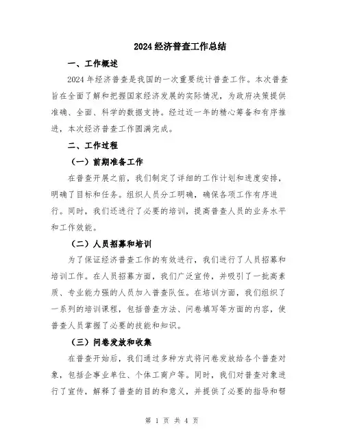 2024经济普查工作总结