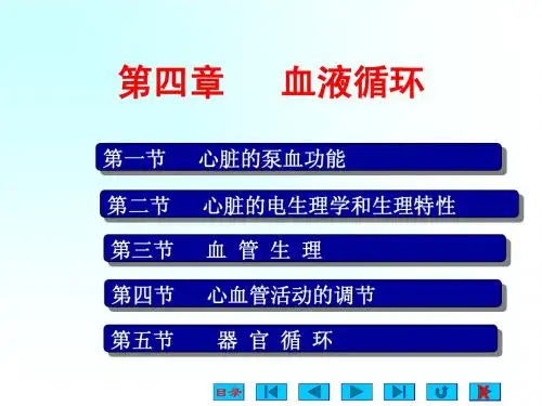 南华大学生理学血液循环课件