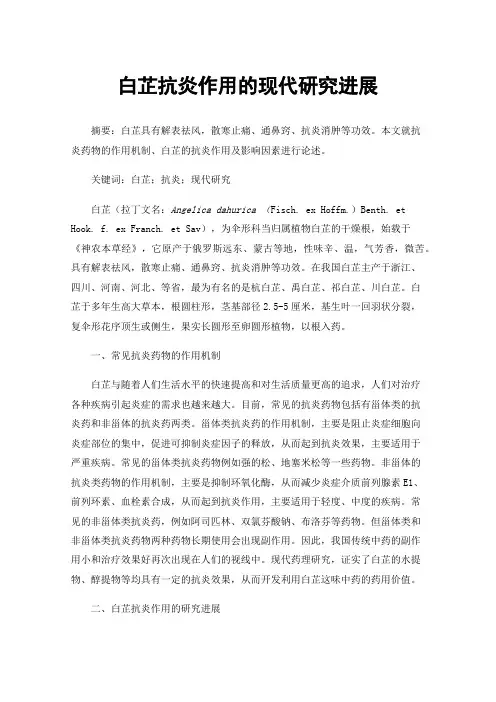 白芷抗炎作用的现代研究进展