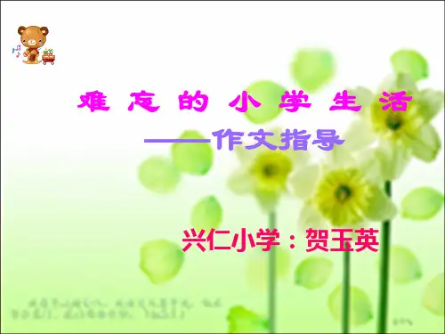 难忘的小学生活.ppt45
