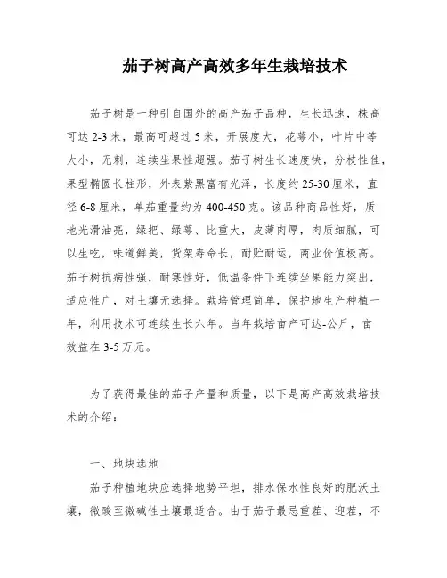 茄子树高产高效多年生栽培技术
