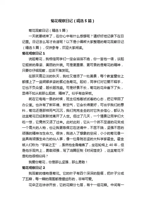 菊花观察日记（精选5篇）