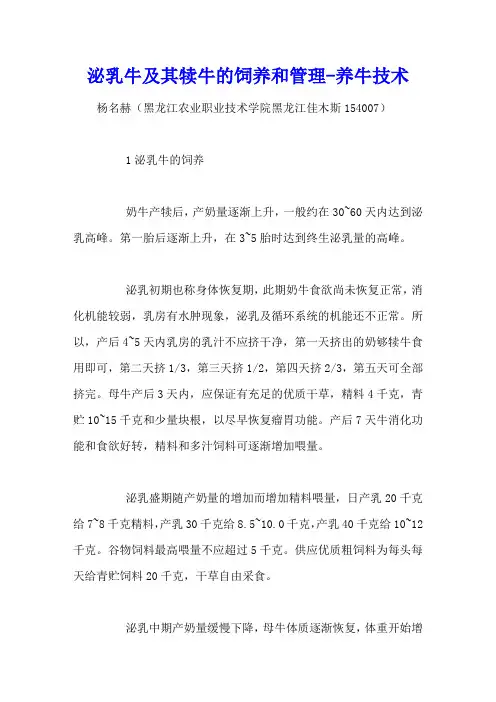 泌乳牛及其犊牛的饲养和管理 - 养牛技术