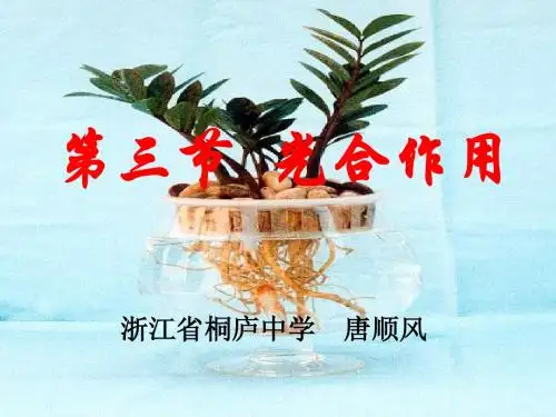 人教版高中生物选修光合作用课件