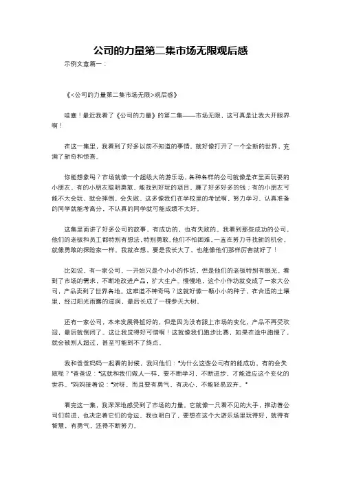 公司的力量第二集市场无限观后感