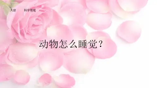 《动物是怎样睡觉的》幼儿园大班科学PPT课件