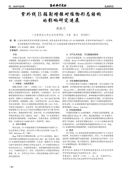 紫外线B辐射增强对植物形态结构的影响研究进展