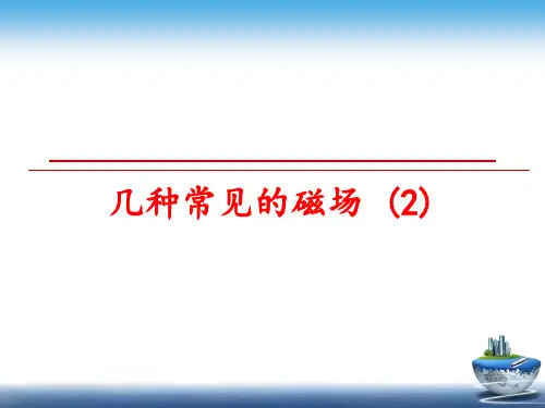 最新几种常见的磁场 (2)