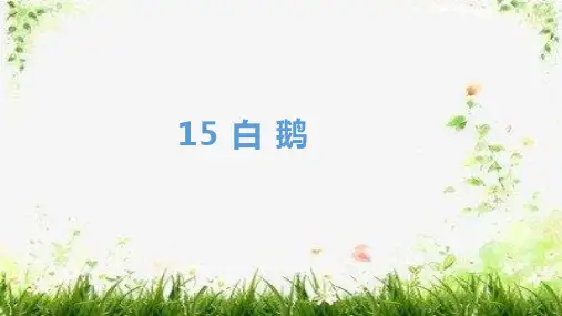 《白鹅》ppt课件
