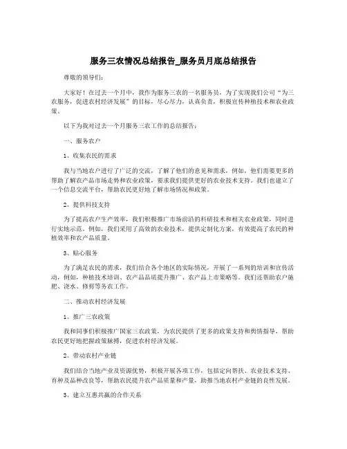 服务三农情况总结报告_服务员月底总结报告