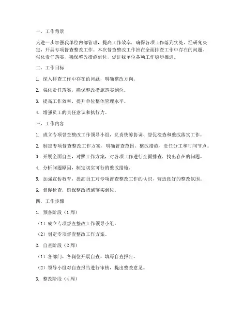 专项督查整改工作方案