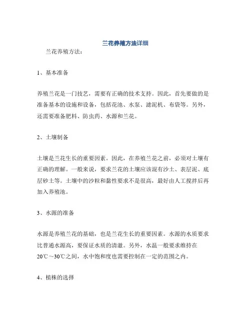 兰花养殖方法详细