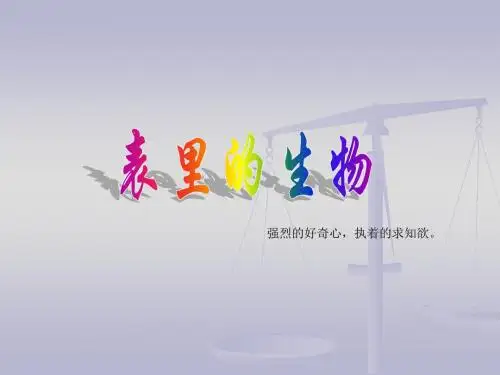 22   表里的生物讲解
