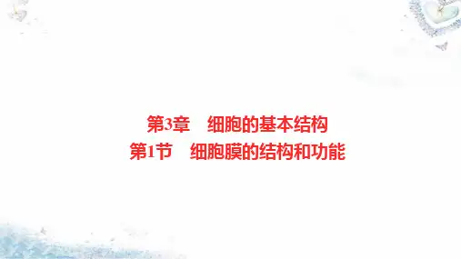 3-1 细胞膜的结构和功能