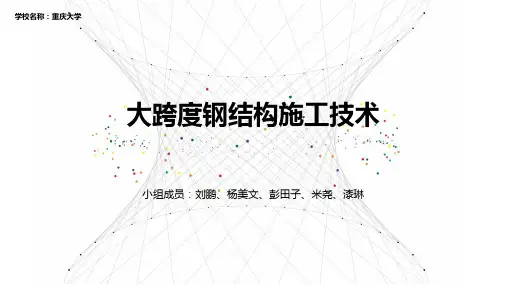 施工新技术.pptx