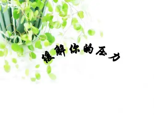 缓解你的压力 PPT课件