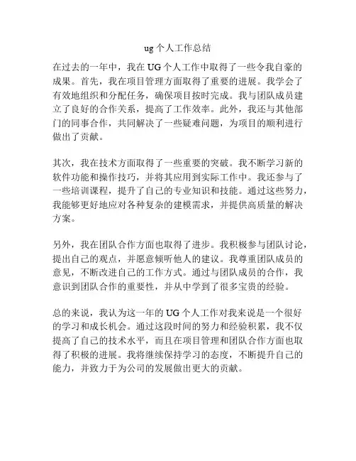 ug个人工作总结