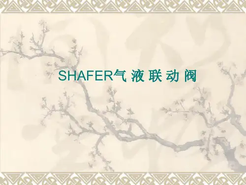 气液联动阀培训资料
