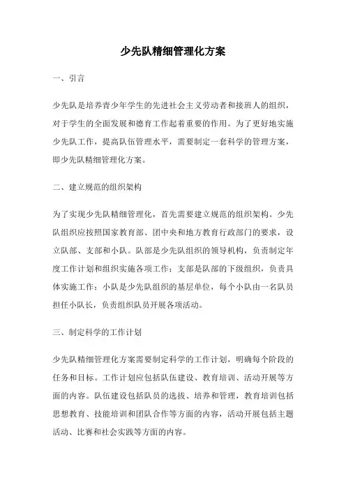 少先队精细管理化方案