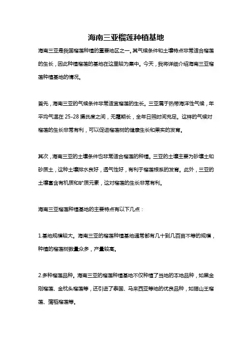 海南三亚榴莲种植基地