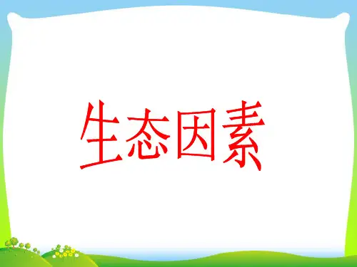 生态因素-课件