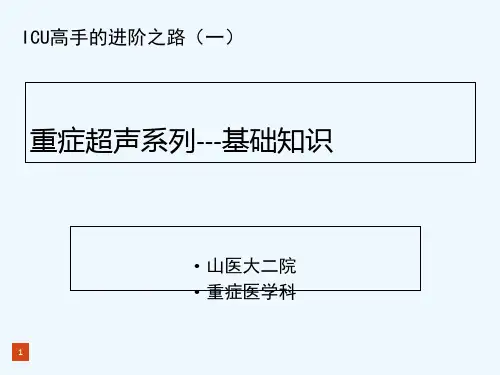 ICUB超基础-PPT