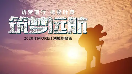保险：2019年工作概述亮点与不足2020年MORE计划规划报告26页