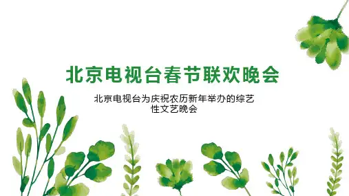 北京电视台春节联欢晚会