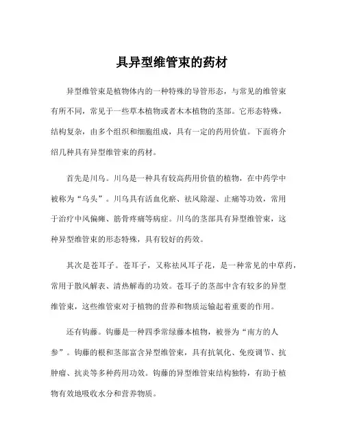 具异型维管束的药材